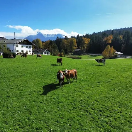 Apartmán Kollerlehen *